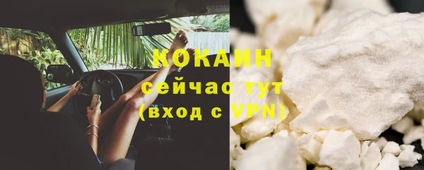 стаф Новодвинск